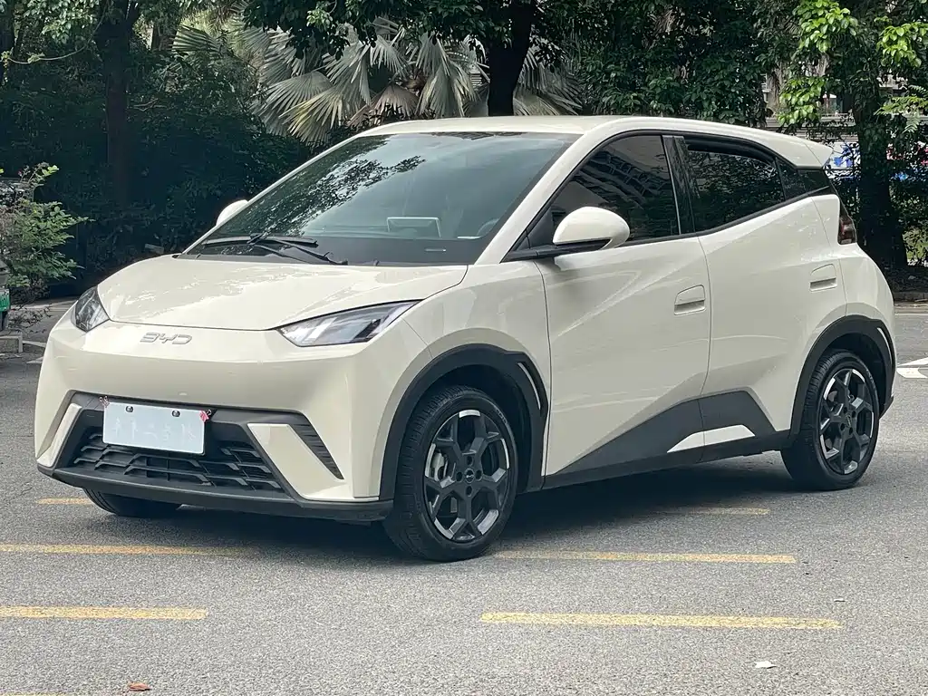 Byd Seagull 2024