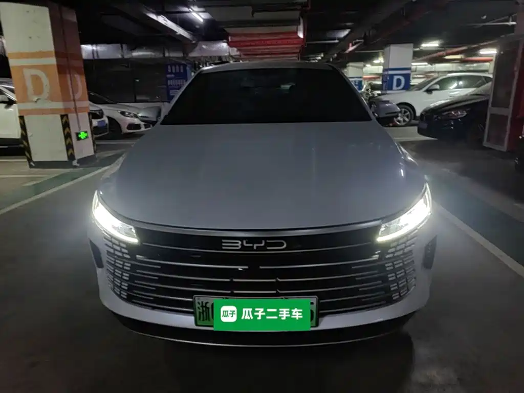 BYD Destroyer 05 — миниатюра 2