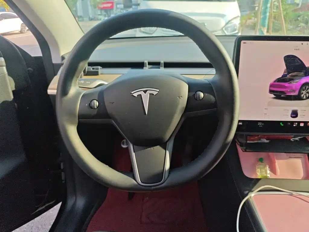 Tesla Model Y — миниатюра 11