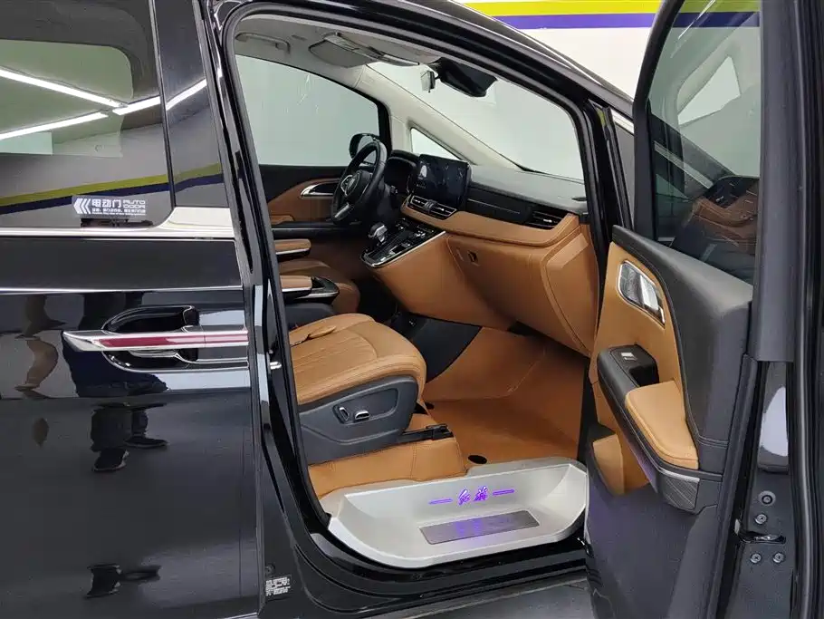 Hongqi HQ9 PHEV 2.0T 4WD Business Edition, фото 8