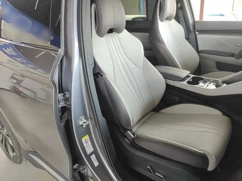 BYD PLUS New Energy — миниатюра 25