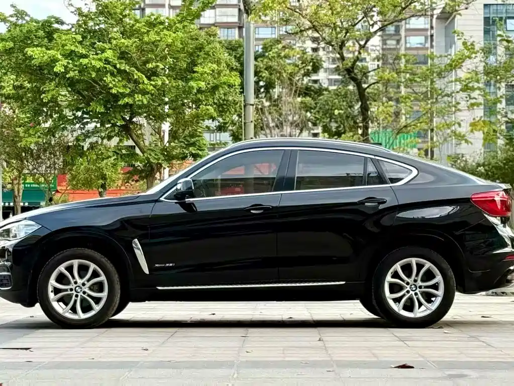 BMW X6 — миниатюра 2
