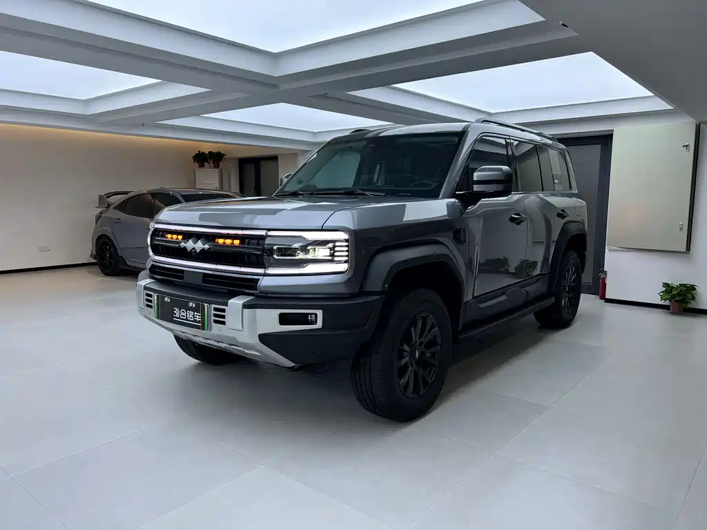 FANG CHENG BAO LEOPARD 5