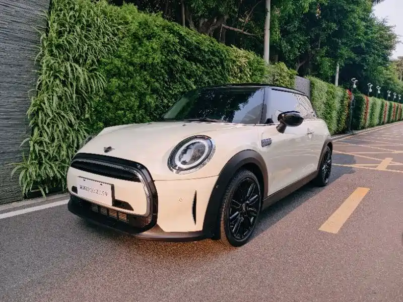 Mini Mini 2022