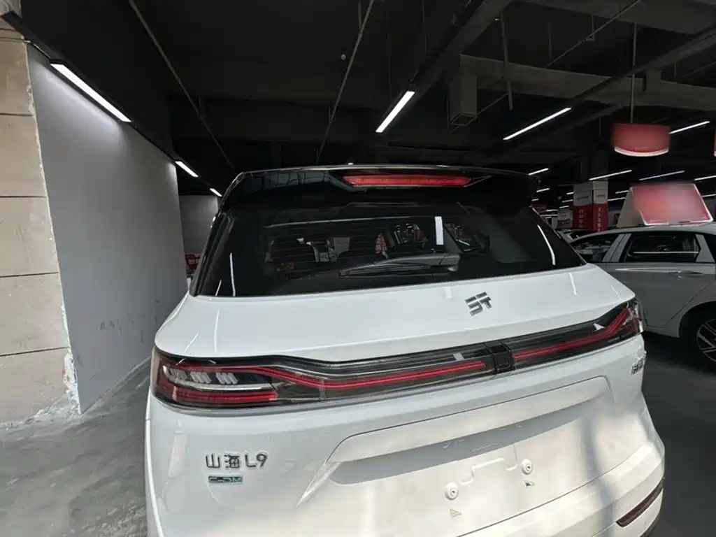 Shanhai Shanhai L9 — миниатюра 8
