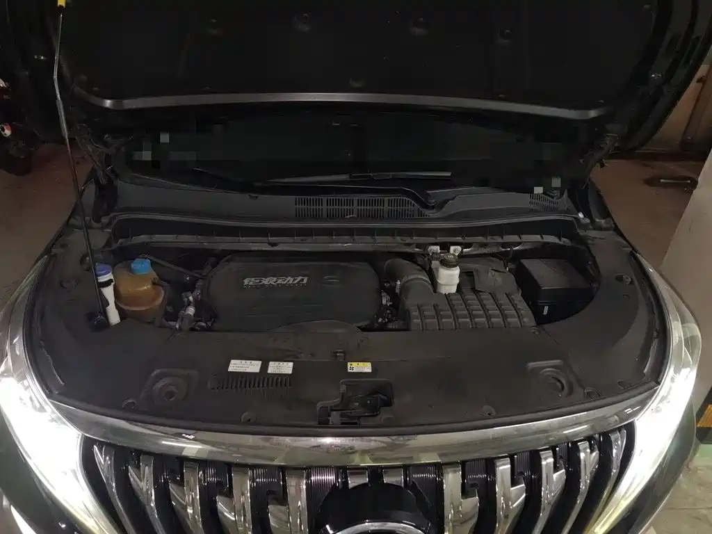 GAC Motor Trumpchi M8 — миниатюра 11