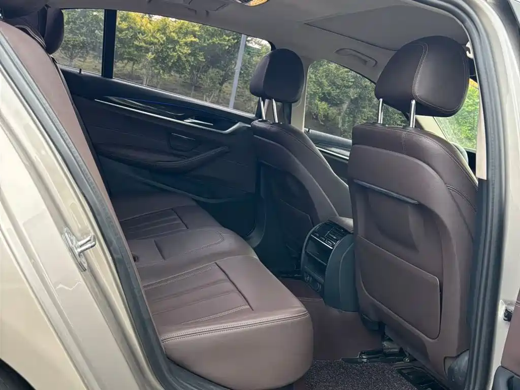 BMW 5 Series 5 2019 525Li Luxury