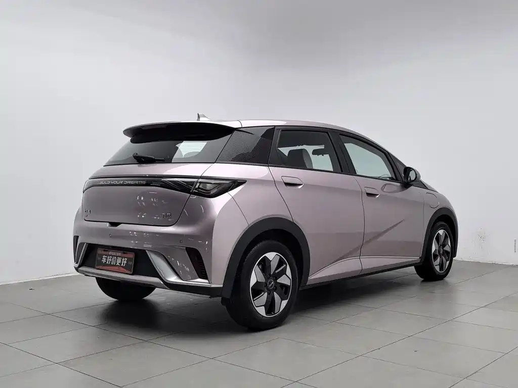 BYD Dolphin — миниатюра 2