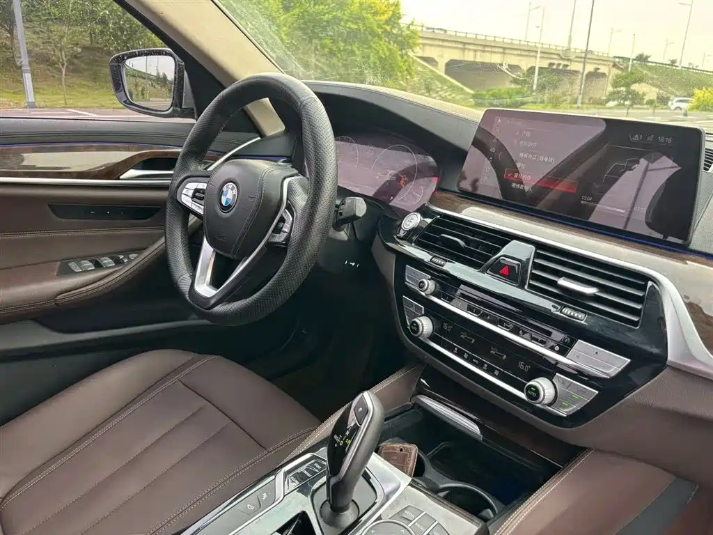 BMW 5 Series 5 2019 525Li Luxury