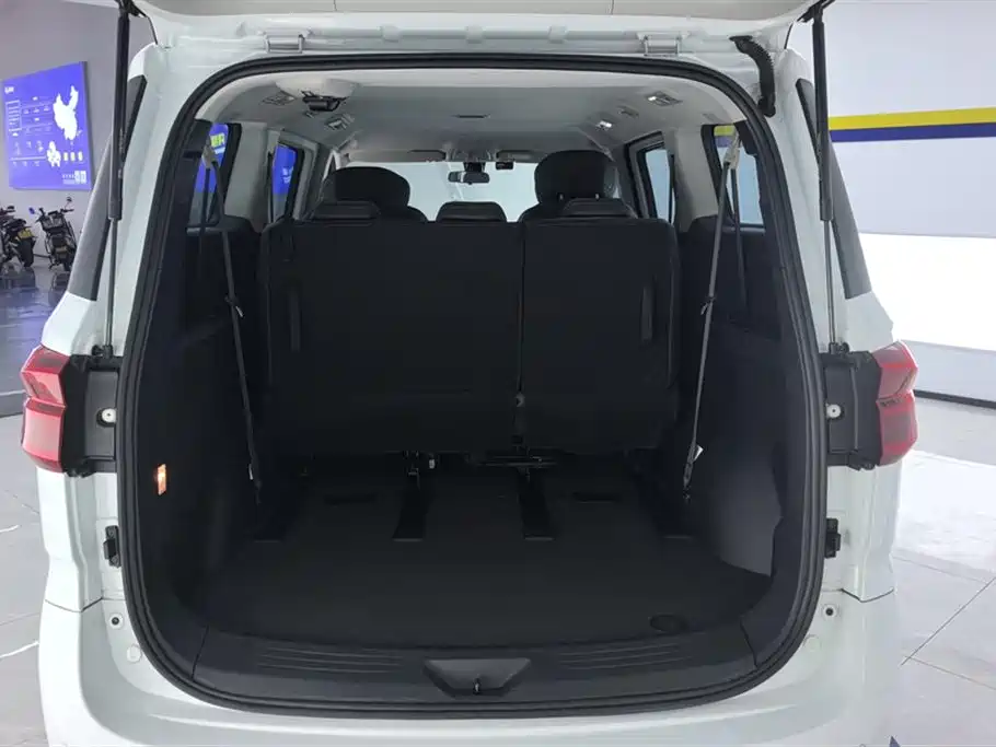 SAIC MAXUS CHASE G20