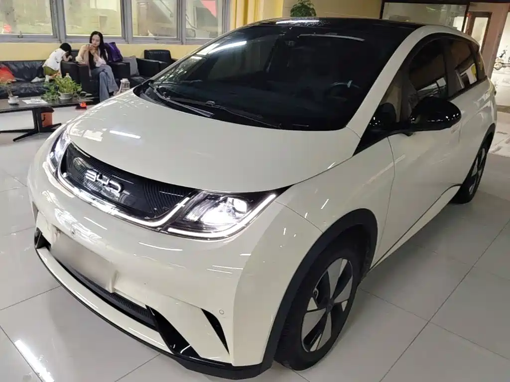 BYD Dolphin — миниатюра 2