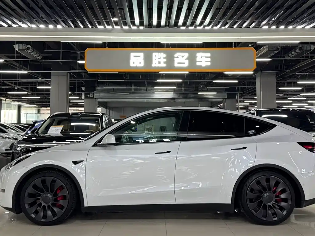 Tesla Model Y — миниатюра 3
