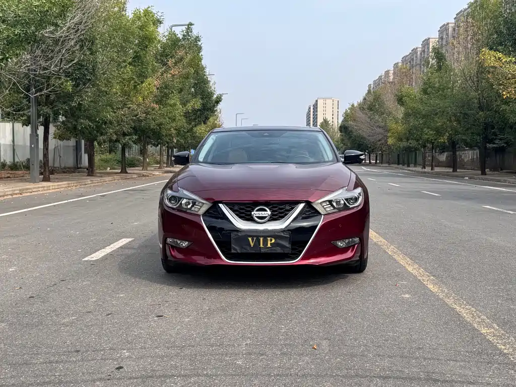 Nissan Cima — миниатюра 2