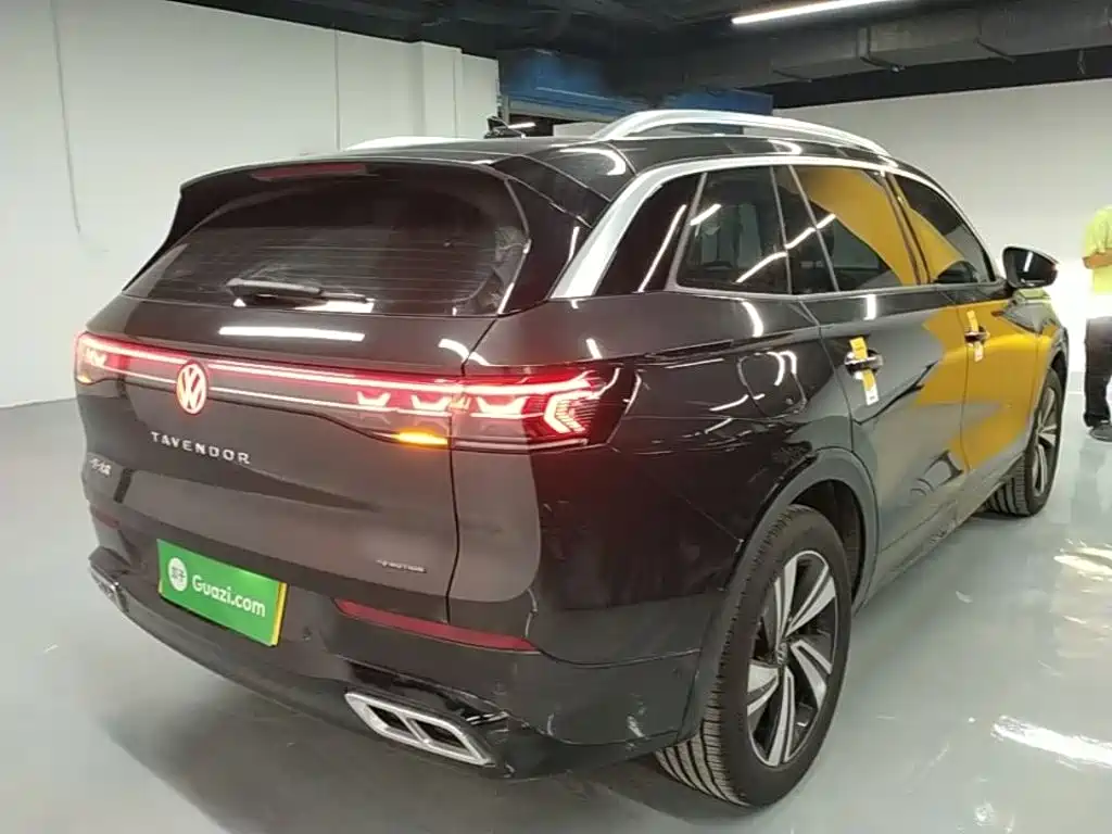 Volkswagen Tavendor — миниатюра 7