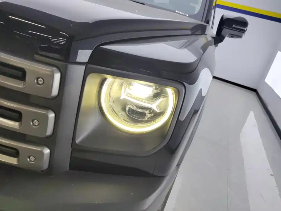Haval Menglong New Energy — миниатюра 5