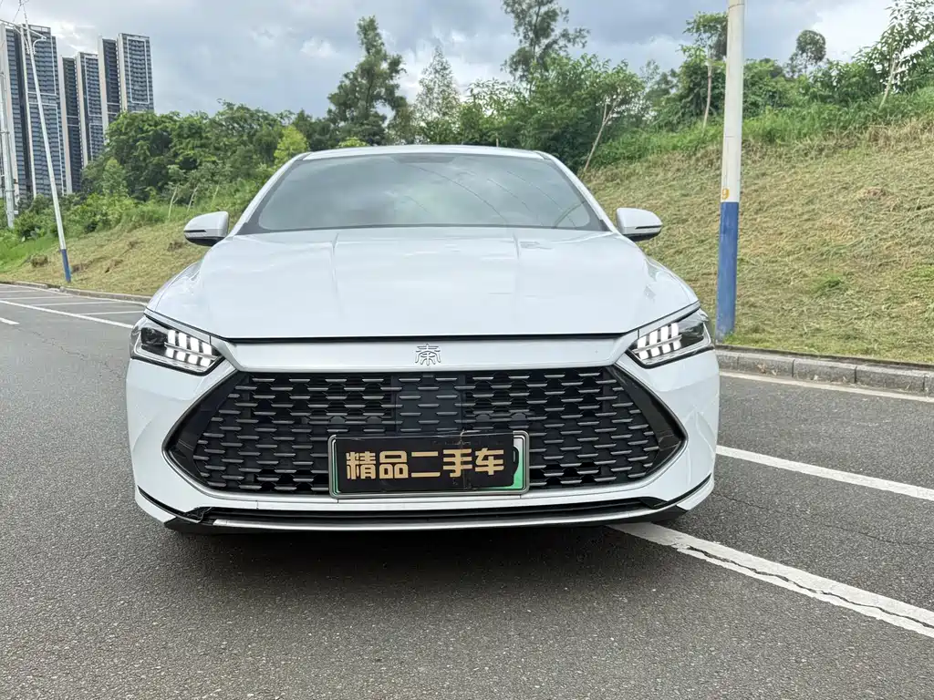 BYD Qin PLUS — миниатюра 2