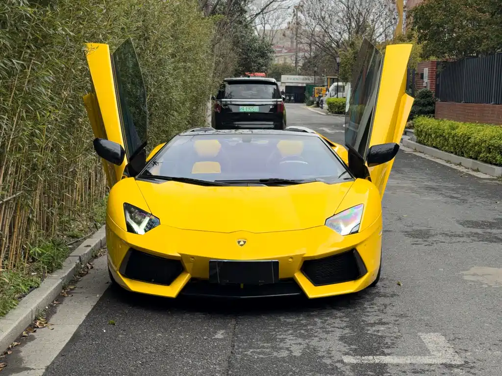 Lamborghini Aventador 2013 LP 700-4 Roadster