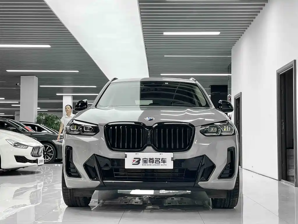 BMW X3 — миниатюра 2