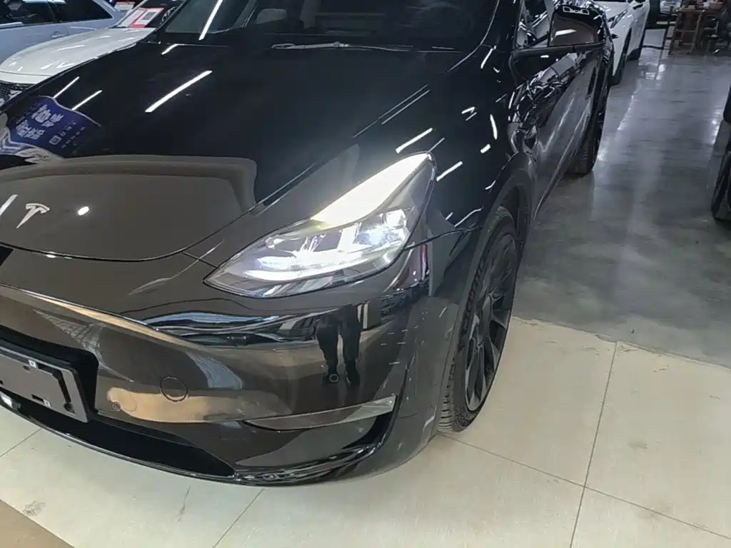 Tesla Model Y — миниатюра 24
