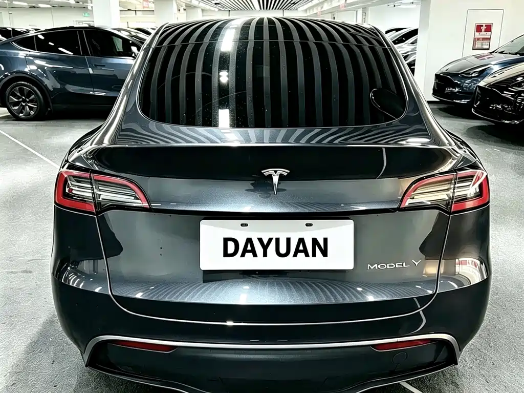Tesla Model Y — миниатюра 8