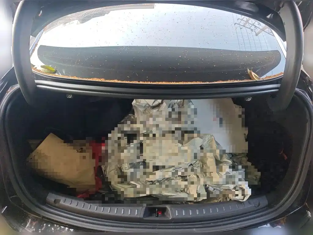 Ford Mondeo — миниатюра 15