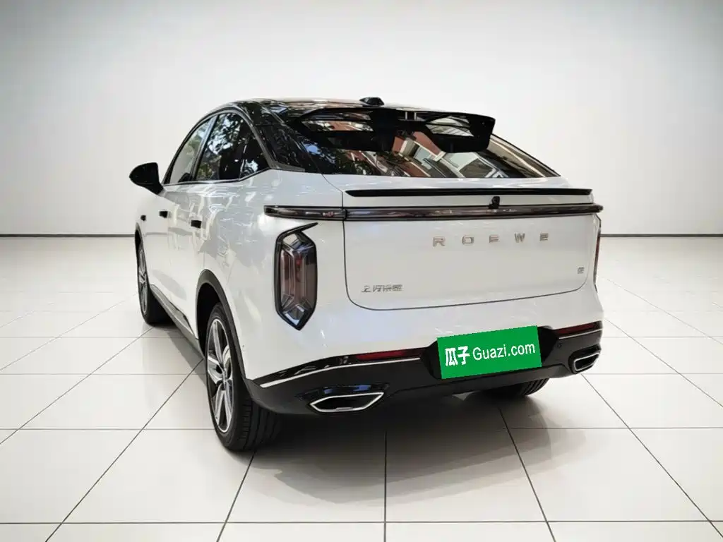 Roewe Whale — миниатюра 25