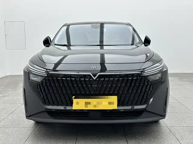Venucia V DD-i 2023 110km iE