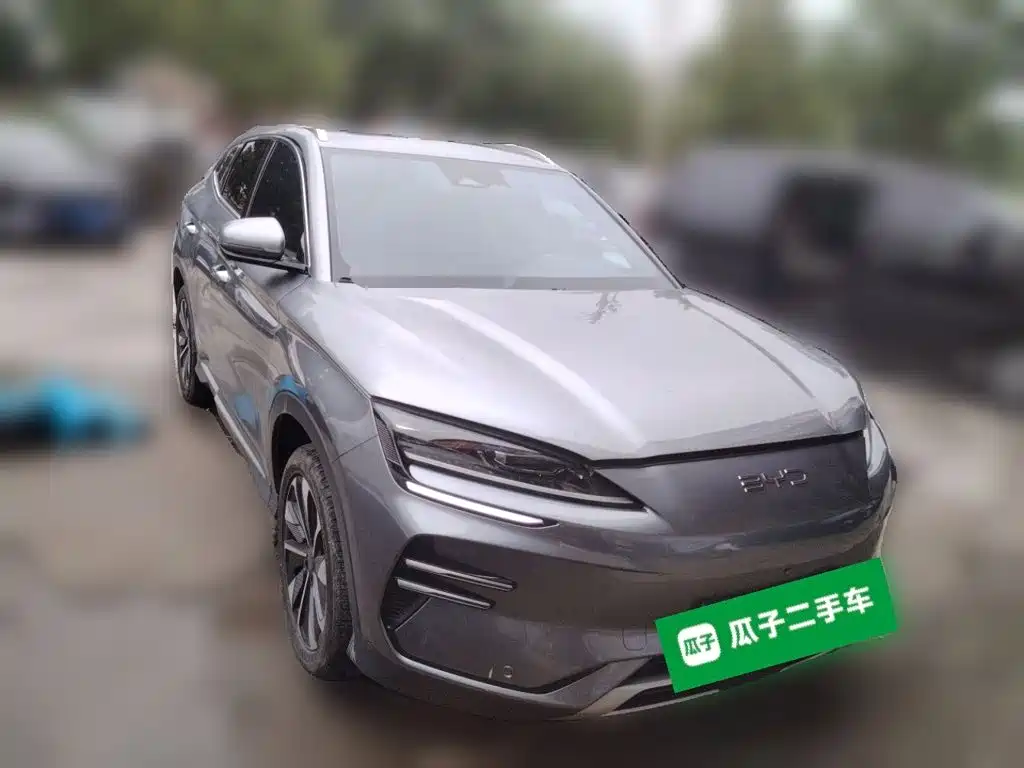 BYD PLUS New Energy — миниатюра 24