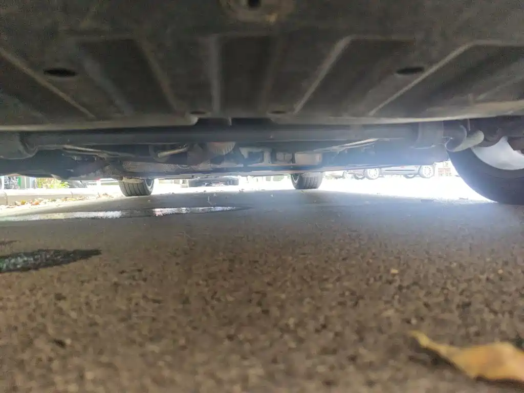 Neta Neta S — миниатюра 22