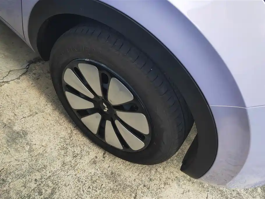 Wuling Binguo 2025 333km Premium