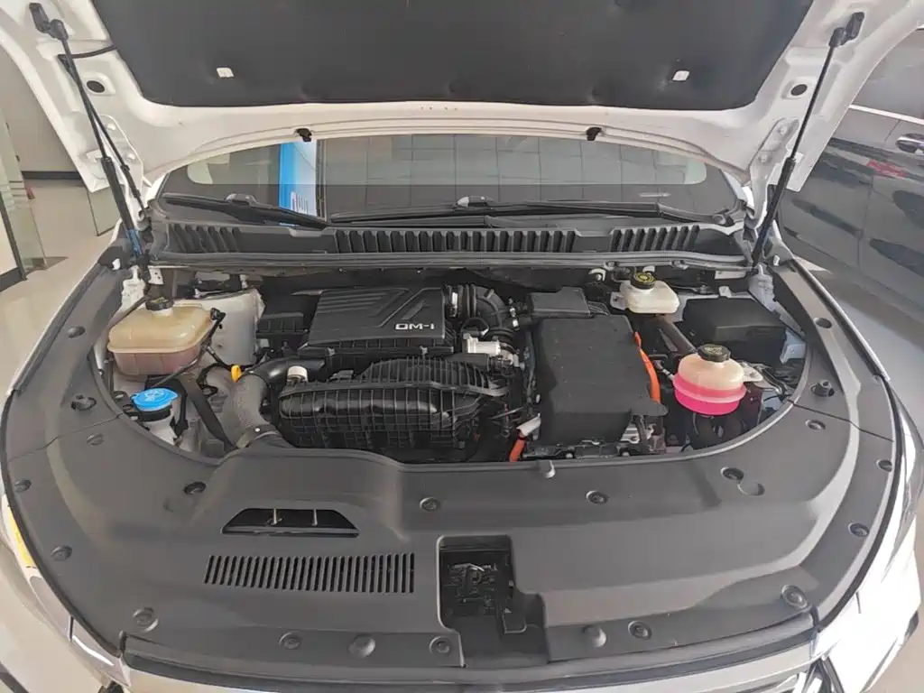 BYD MAX New Energy — миниатюра 20
