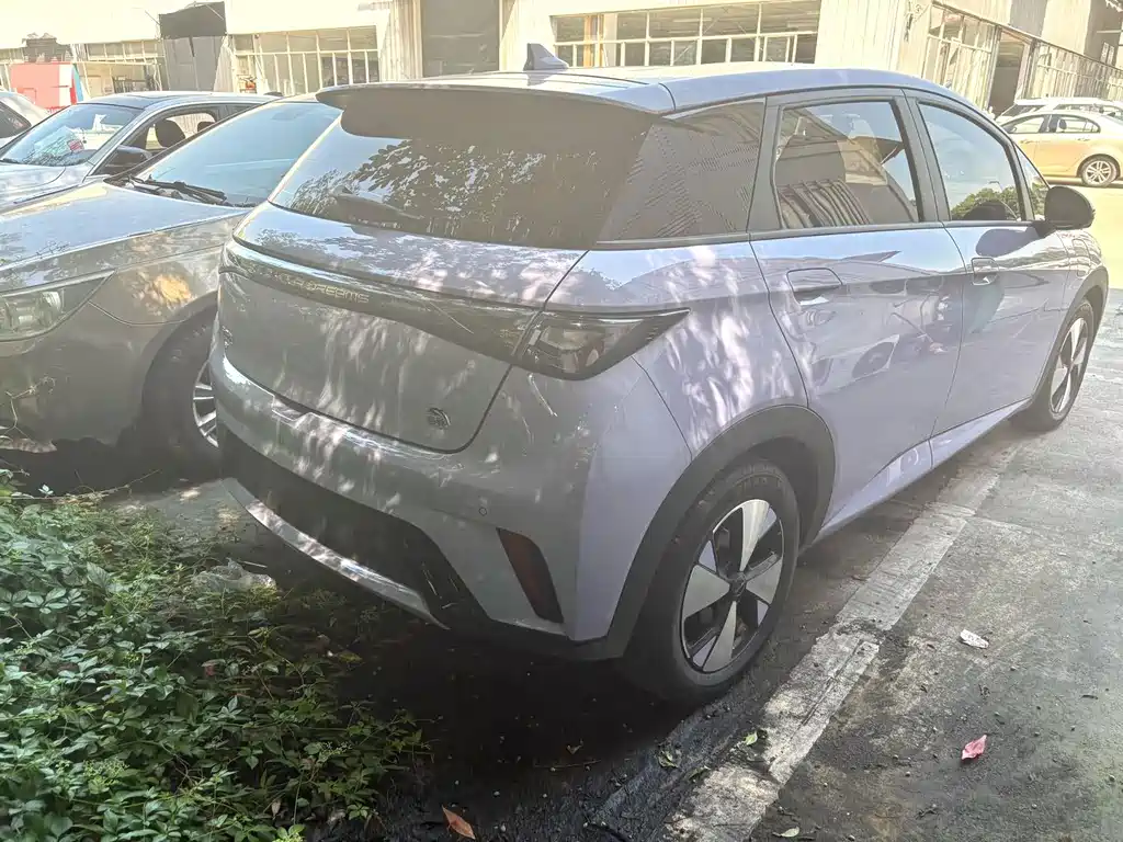 BYD Dolphin — миниатюра 3