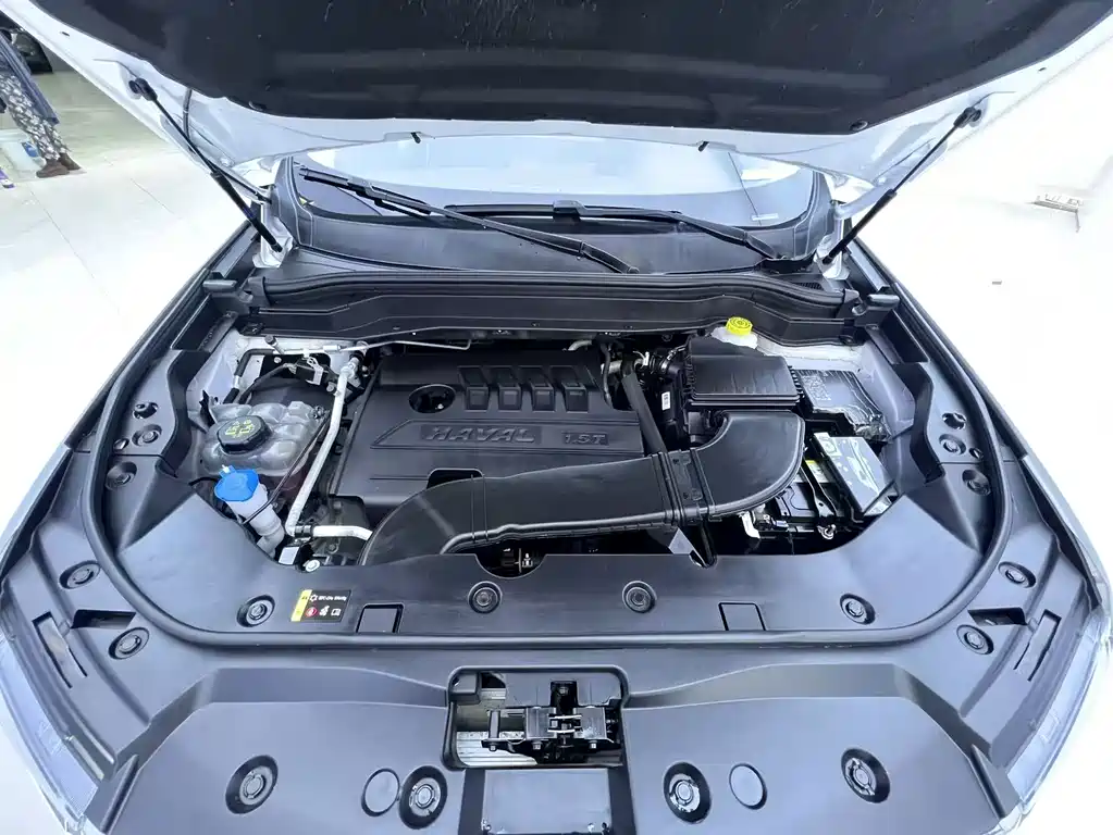 Haval H6 — миниатюра 20