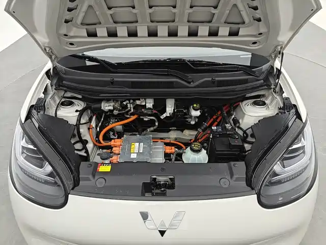 Wuling Binguo 2024 333km Enjoy