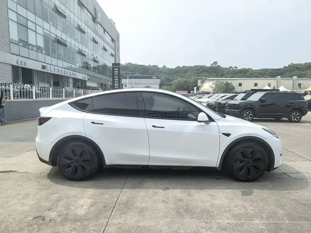 Tesla Model Y — миниатюра 4