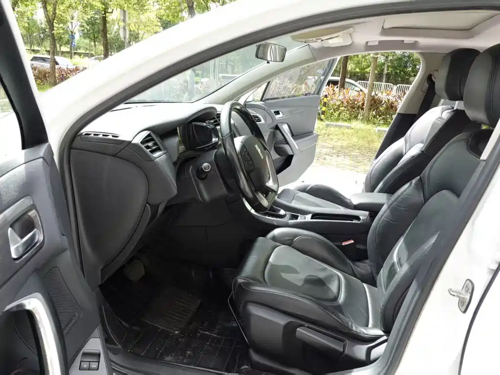 DS DS 5LS — миниатюра 11
