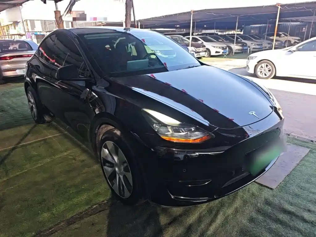 Tesla Model Y — миниатюра 4