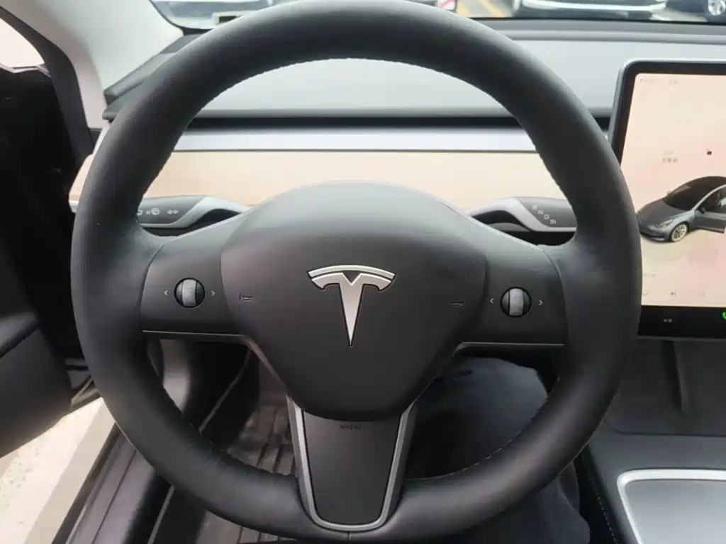 Tesla Model 3 — миниатюра 11