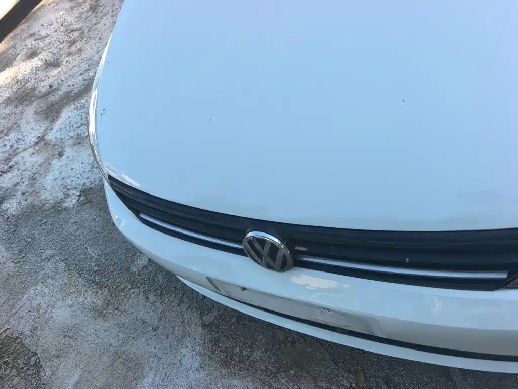 Volkswagen Lamando — миниатюра 8