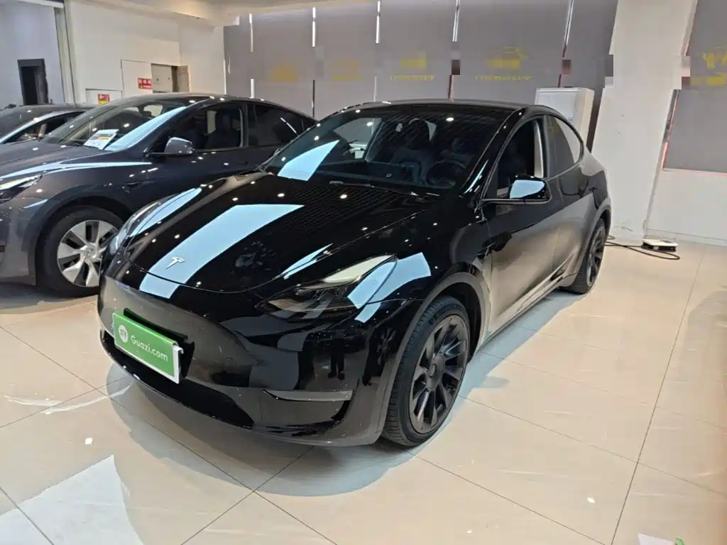 Tesla Model Y — миниатюра 2