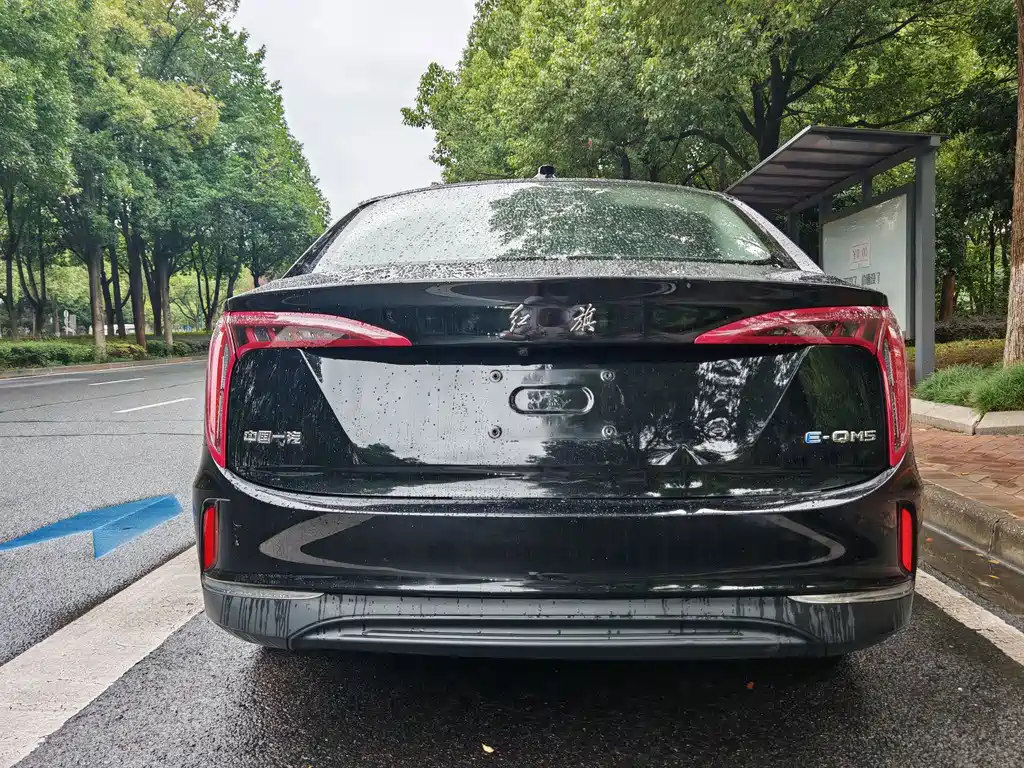 Hongqi Hongqi E-QM5 — миниатюра 11