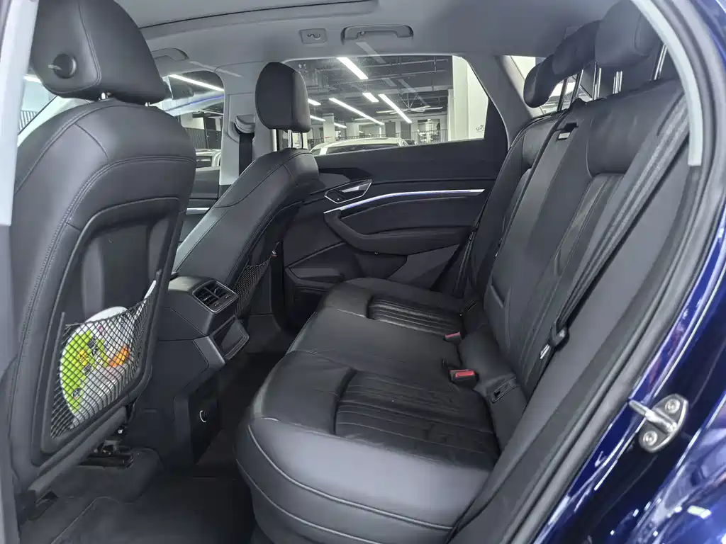 Audi e-tron (Import) — миниатюра 9