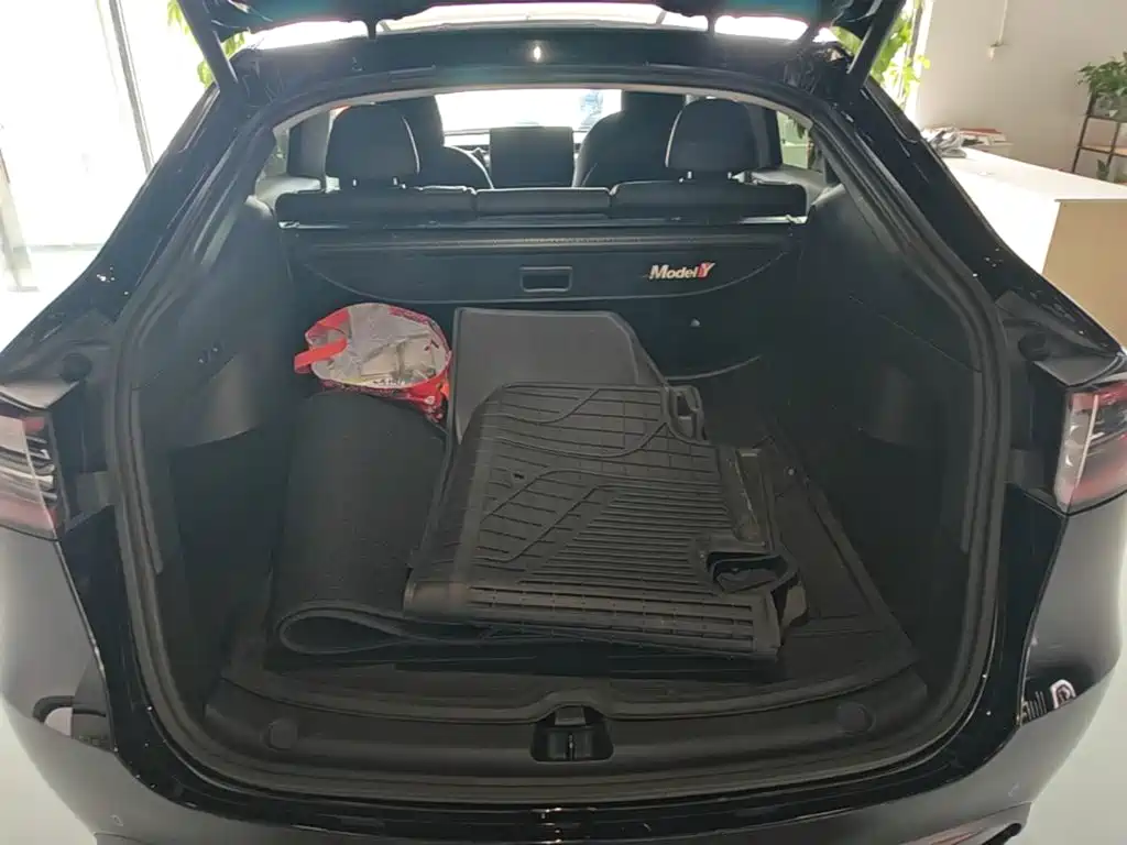 Tesla Model Y — миниатюра 19