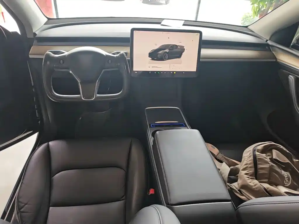 Tesla Model Y — миниатюра 10