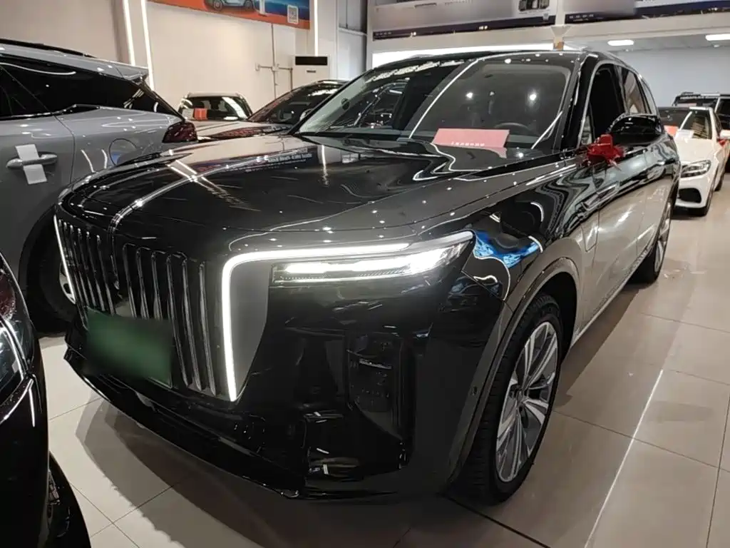 Hongqi Hongqi E-HS9