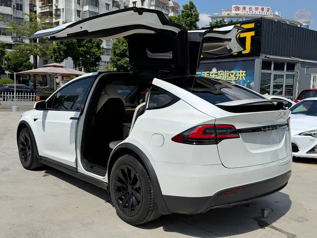 Tesla Model X — миниатюра 5