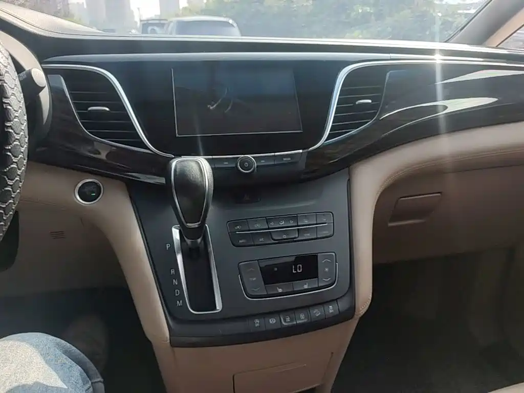 Buick GL8 — миниатюра 13