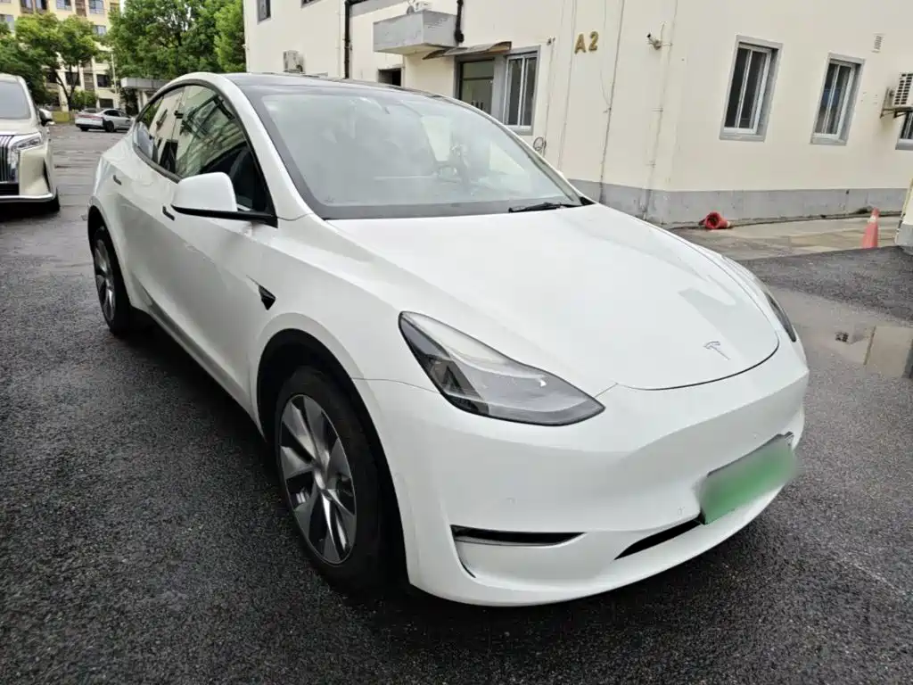 Tesla Model Y — миниатюра 4