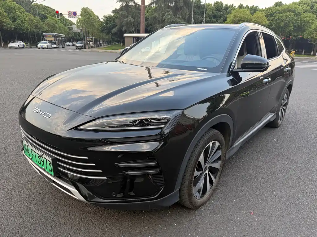BYD PLUS New Energy