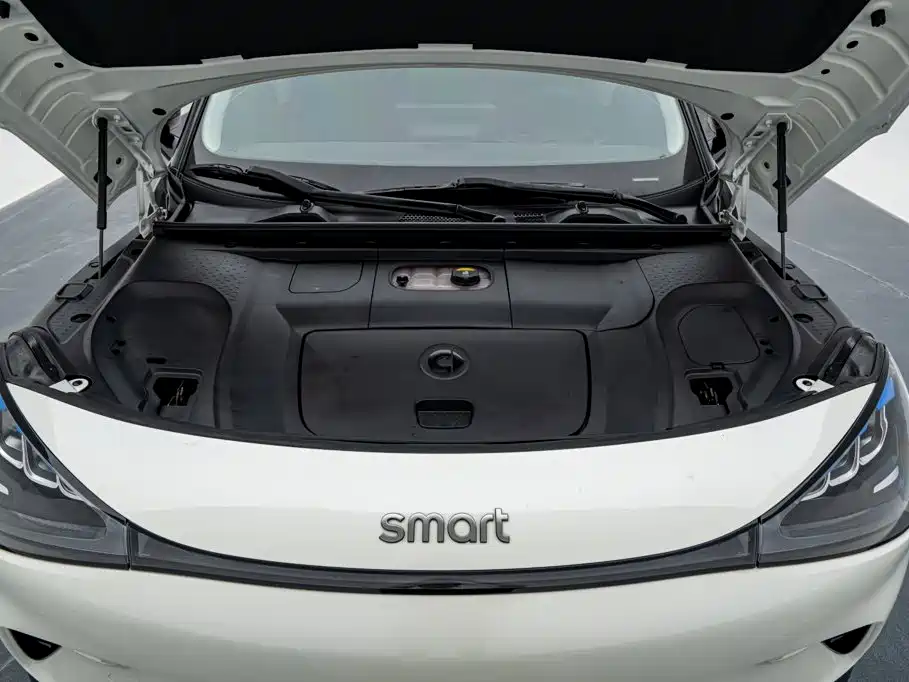 smart Smart #1 — миниатюра 16